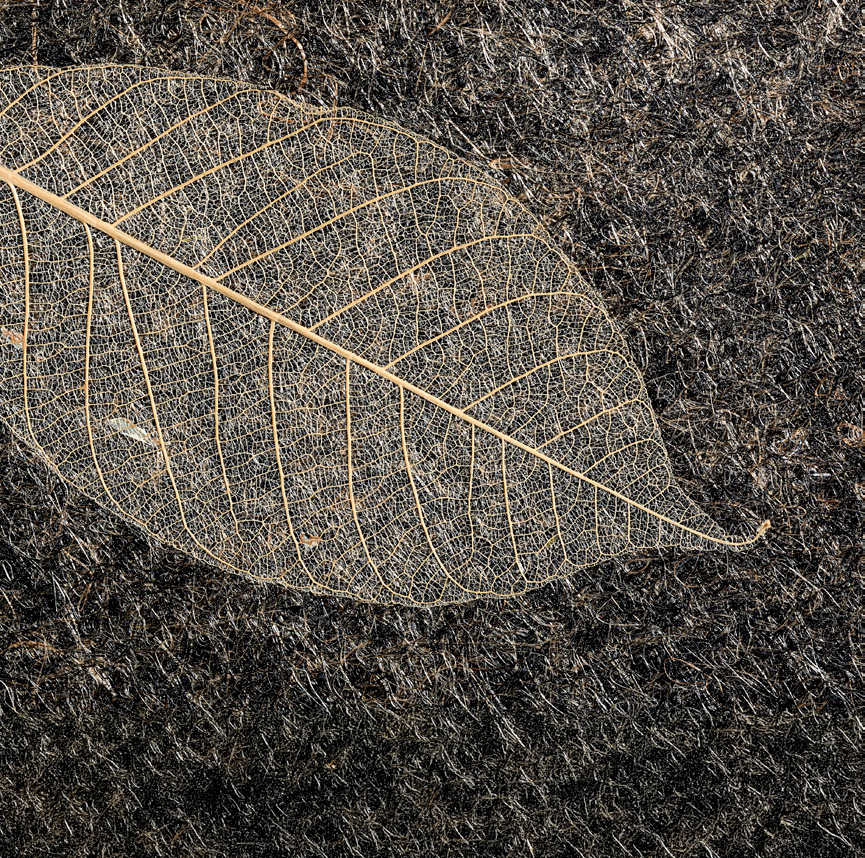 JUTE WITH BOTANICAL ELEMENTS