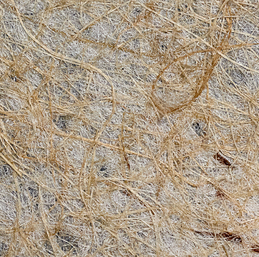 JUTE